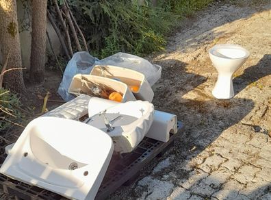 Toilet and sinks