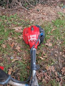 weed eater petrol