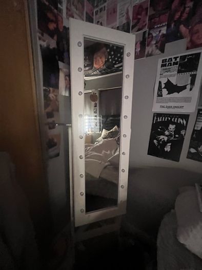 LED vanity mirror