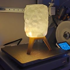 Modern Decorative Lamp