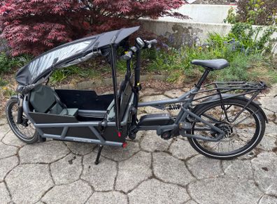 Riesse & Muller Cargo Bike Load 75