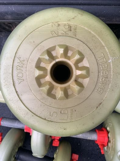 Set of York plastic weights