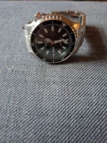 Citizen Promaster "Fugu"