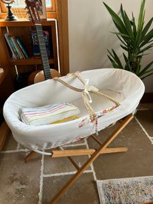 Moses Basket & Stand Bundle
