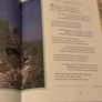 A Treasury of Irish Verse 1992 Celtic Poetry and Art Image 8