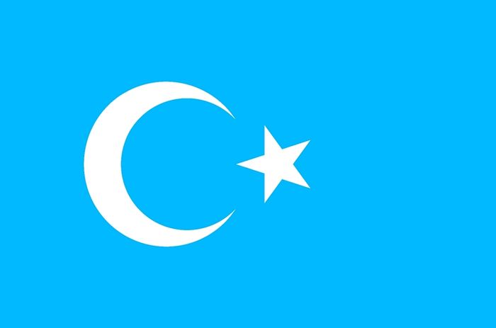 Uyghur Uighur East Turkestan flag 150x90cm FREEPOST