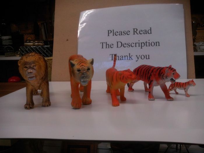 animals
