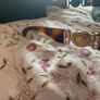 Versace Sunglasses (Worn Once) Image 3