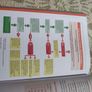 Nursing Studies Theory and Practice  Ingrid Condell  Nursing Textbook Image 6