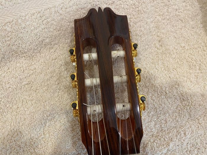 Alvaro Guitar 300