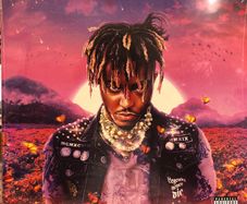 Juice WRLD  Legends Never Die X2LPS