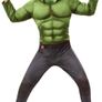 Hulk Costume 7-8 Years Image 3