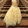 Limited edition Disney Princess Belle Dress Image 2