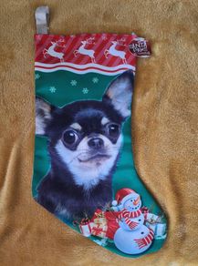 Christmas Dog Stocking