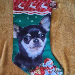 Christmas Dog Stocking