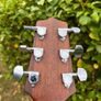 Takamine G320-NS Image 7