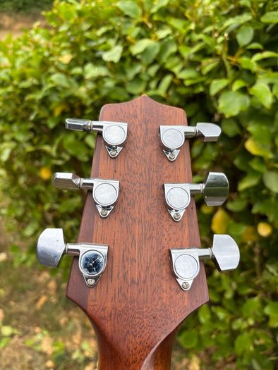 Takamine G320-NS
