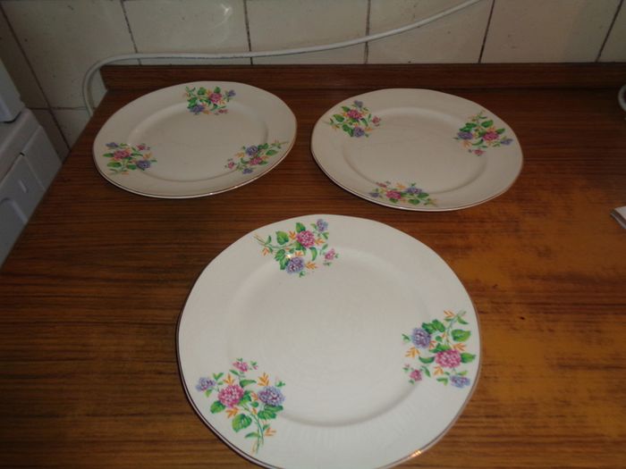 Vintage Royal Tudor Plates x 3 for Sale