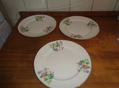 Vintage Royal Tudor Plates x 3 for Sale