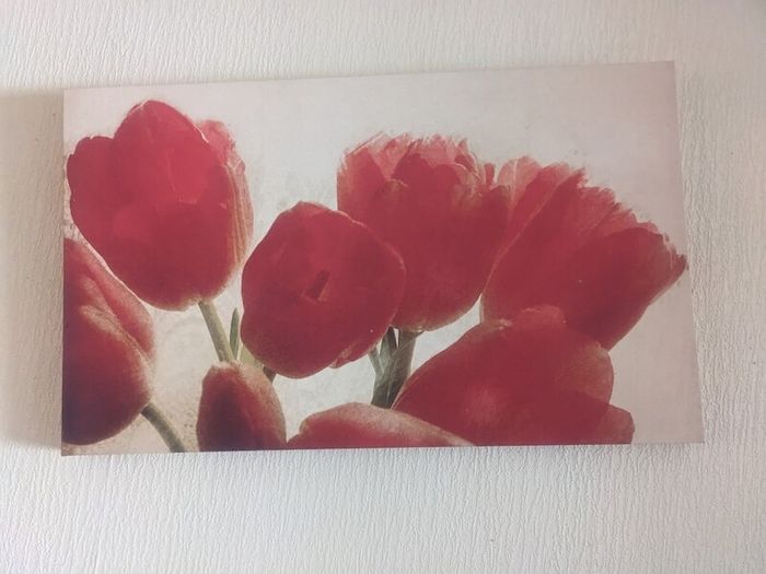 Canvases x 5