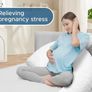 Pregnancy Pillow Image 2