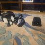 Sony Zve10 Vlogging Camera Like New Perfect Camera  With Kit Lens Image 3