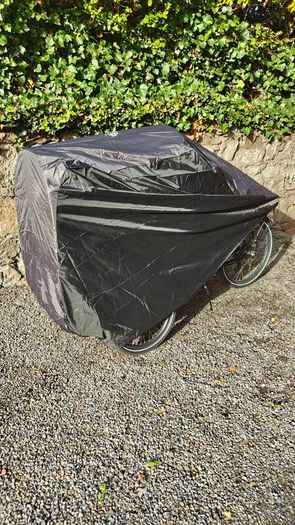 Electric Cargo Bike