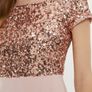 New Coast Sequin Fishtail Maxi Dress Image 3