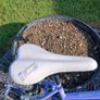 Girls Bike 26 inch Image 6