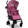 buggy Image 2