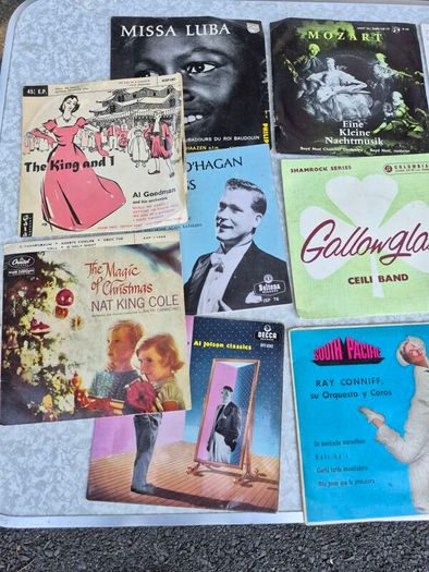 20 small Vinyl records