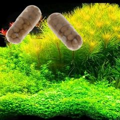 Capsule fertilizer