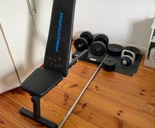 Weights & bench