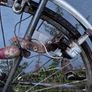 Vintage 1980's  10 speed road bike Image 9