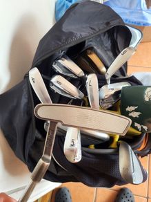 Ping anser sigma g