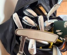 Ping anser sigma g
