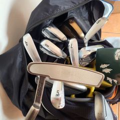 Ping anser sigma g