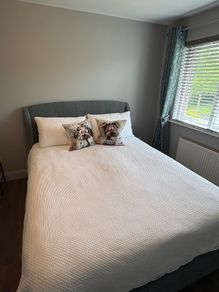 Bed Frame