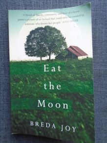 Eat the Moon, Paperback book, Fiction