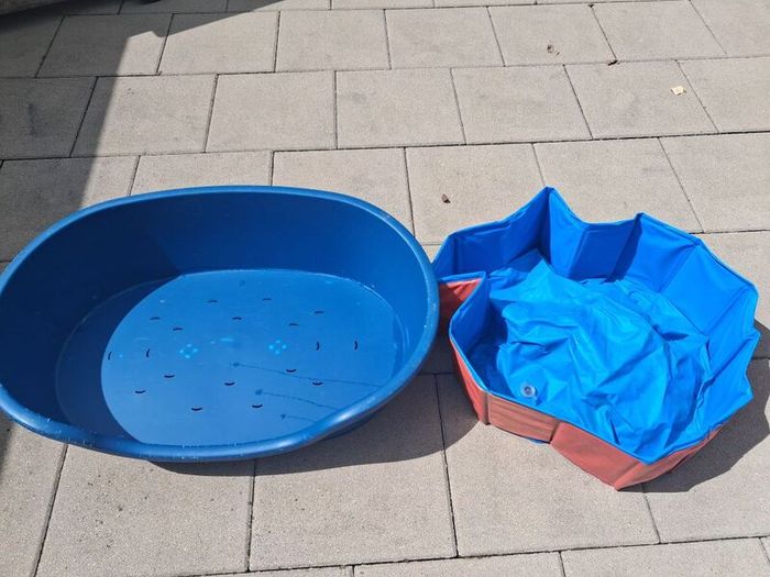 Dog Bed & Pool