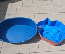 Dog Bed & Pool