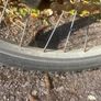 bike Image 3