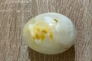 Polished Marble Egg