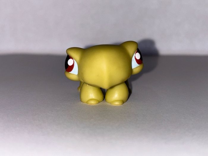 littlest pet shop (LPS) Turtle bundle!
