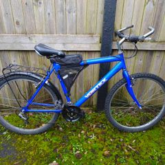 Adults bike