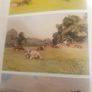 2 Coloured Art Catalogue.1x James Adams & Bonhams 2x Gorry Gallery Thomas Ryan  R.h.a. Image 6