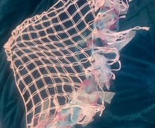 Pink tasseled hammock