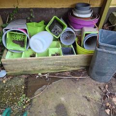 Assorted Seed Pots
