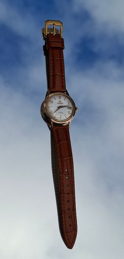 Vintage ROAMER Watch Swiss BREVETE Movement