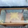Rare vintage wooden coffee table Image 7